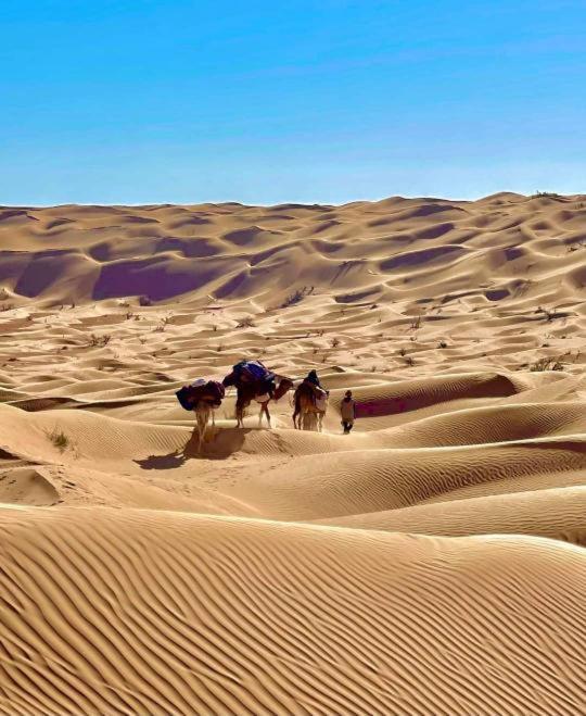 Grand Sud, La Maison De Sable Douz Eksteriør bilde
