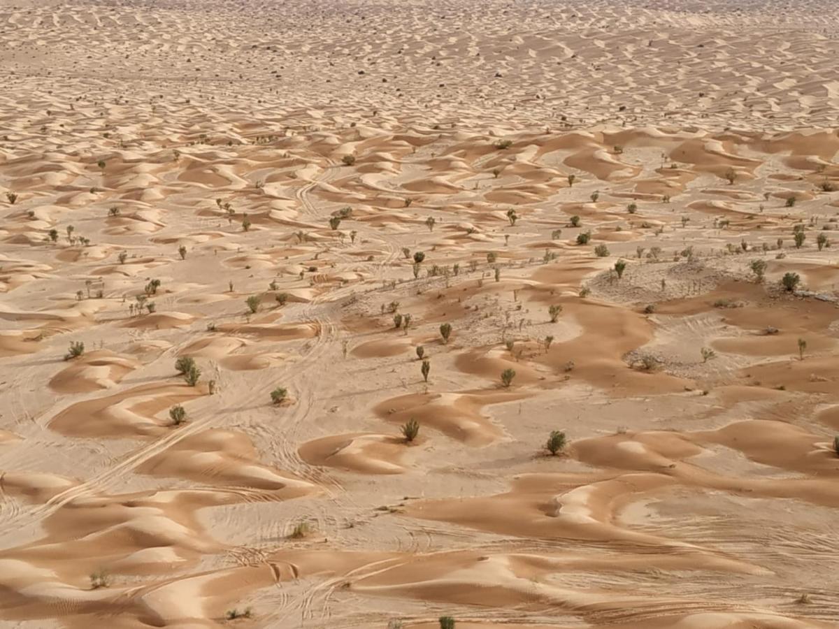 Grand Sud, La Maison De Sable Douz Eksteriør bilde