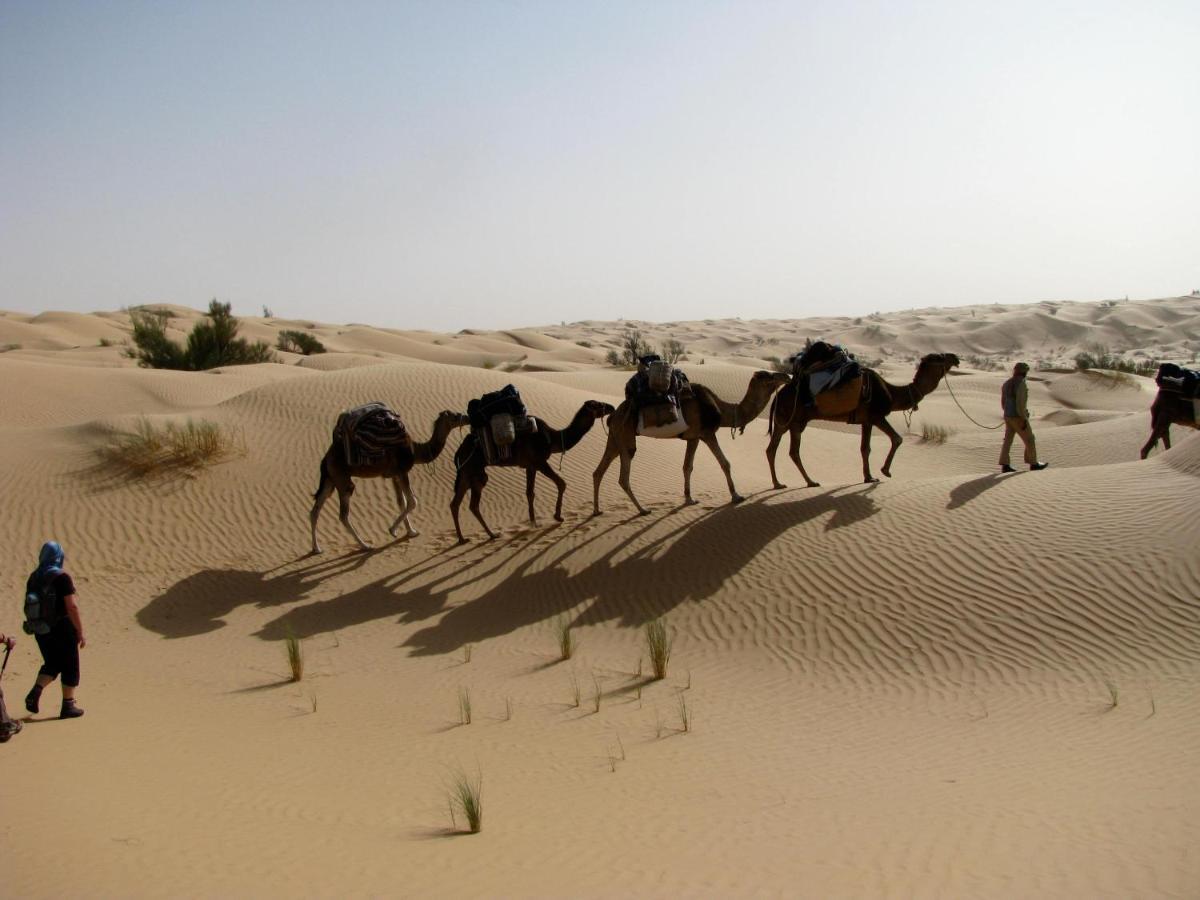 Grand Sud, La Maison De Sable Douz Eksteriør bilde